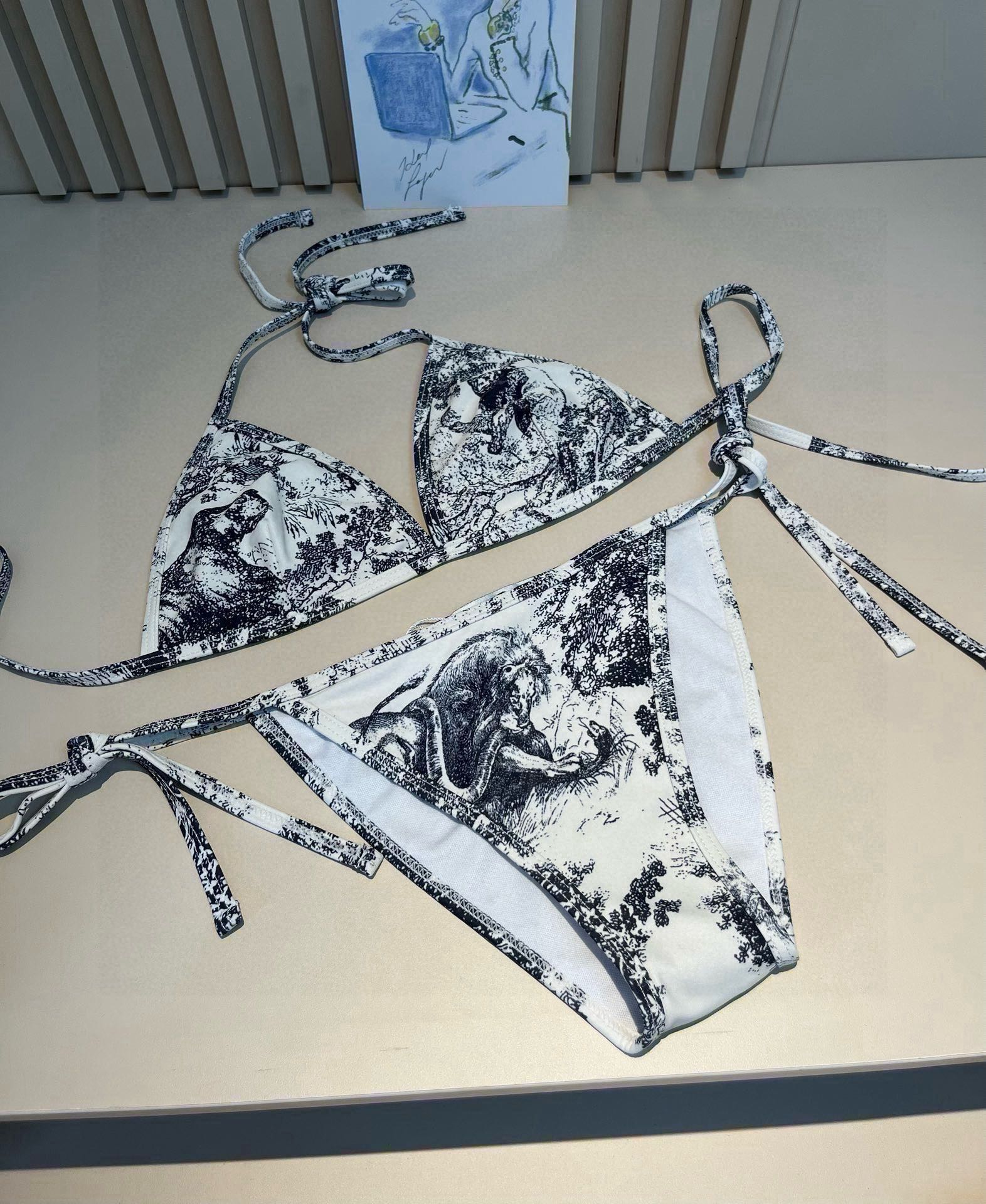 DIOR BIKINI 25S TWO PIECE IN 742646