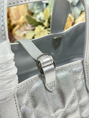 DIOR 26S TOUJOURS BAG 23 IN SILVER CALFSKIN