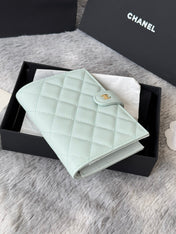 CHANEL 25S MULTI PURPOSE PASSPORT WALLET 15 IN SOFT MINT CALFSKIN GOLD HARDWARE