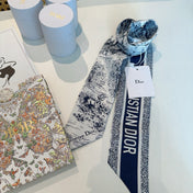 DIOR 26S SCARF 105CM IN SILK 309544