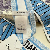 DIOR 26S SCARF 105CM IN SILK 259065