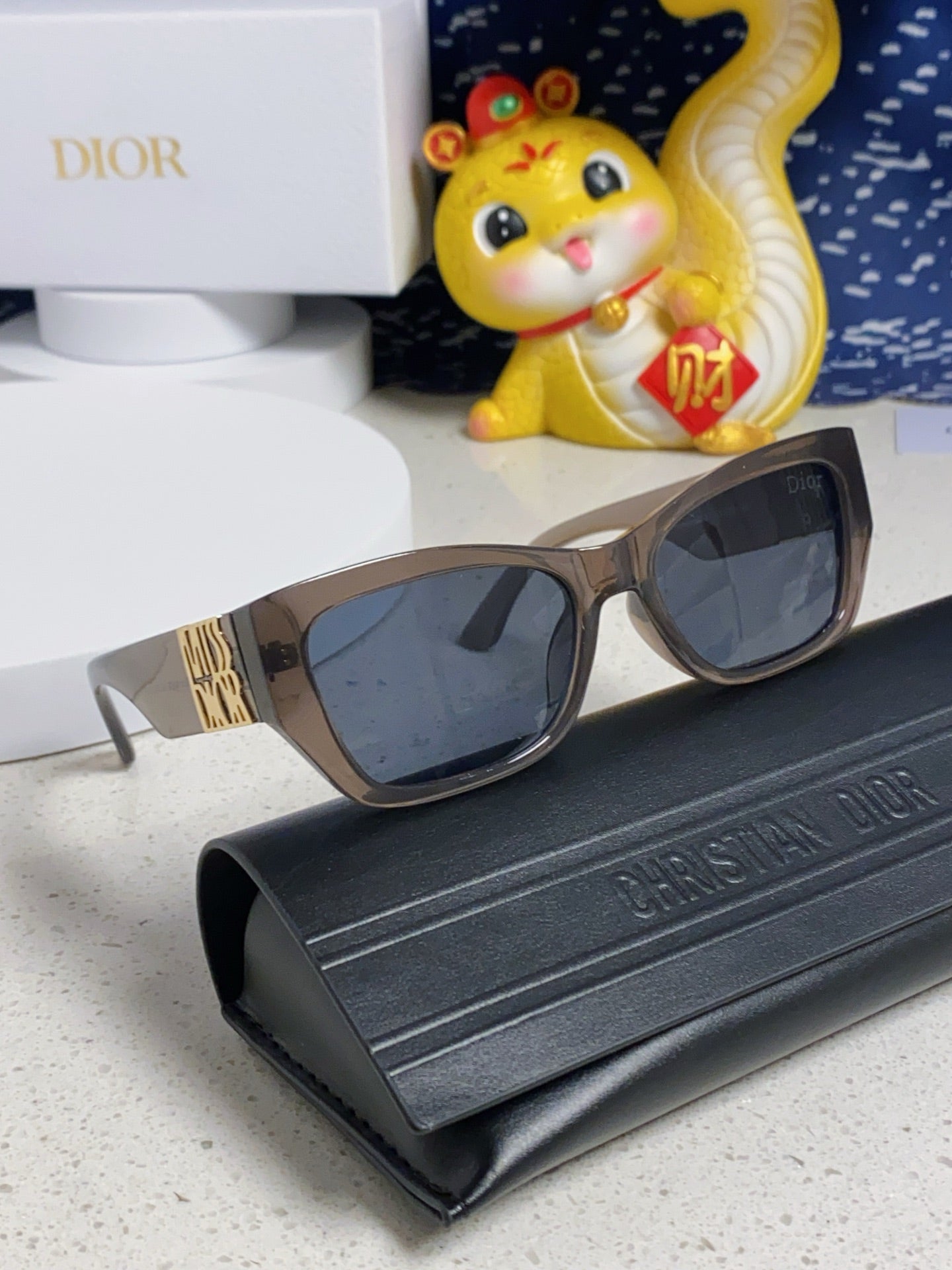 DIOR 26S RECTANGULAR FRAME IN ACETATE 406561