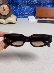 CELINE 26S OCTAGONAL FRAME IN ACETATE 429558