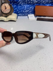 CELINE 26S SQUARE FRAME IN ACETATE 432547
